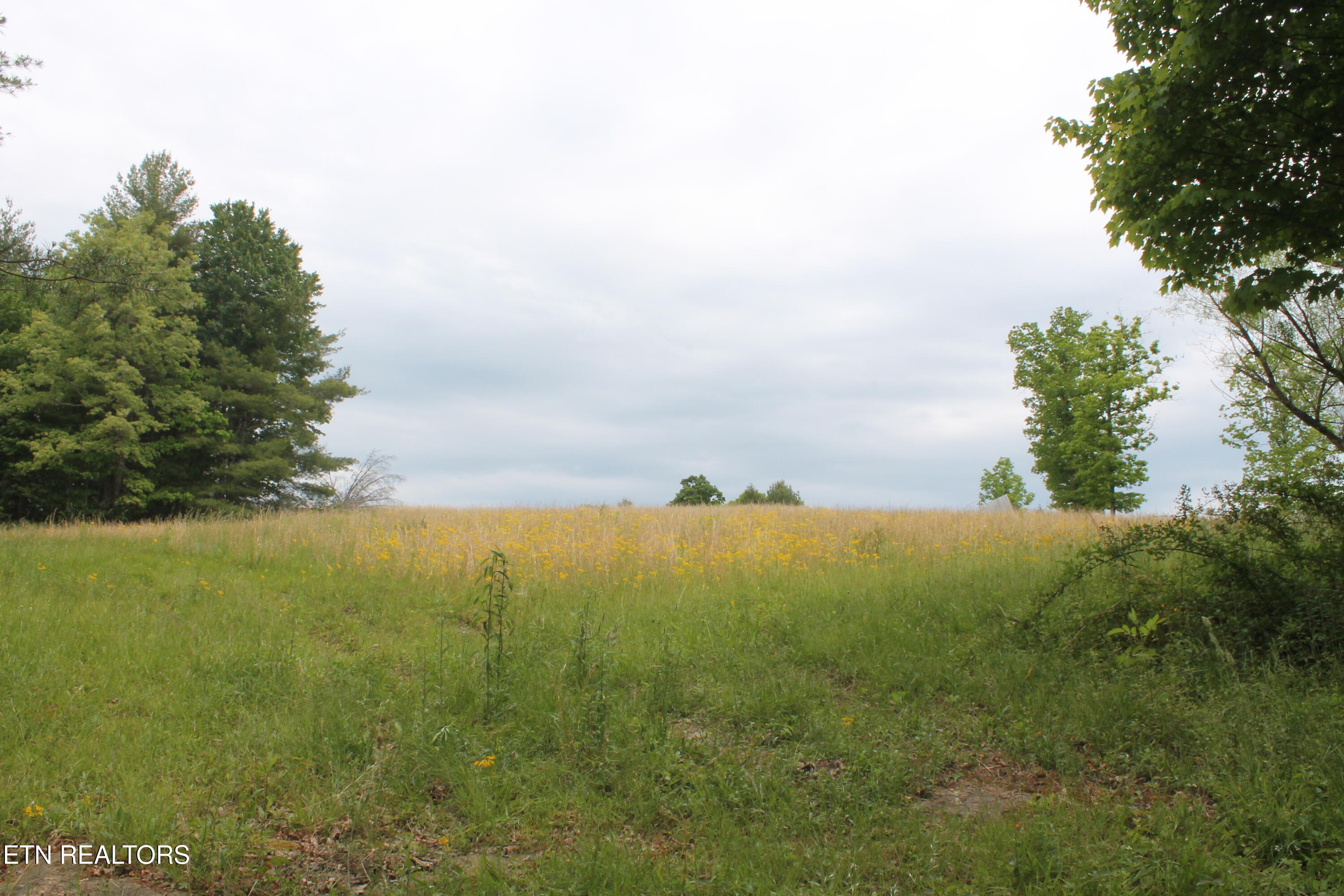 232 Wright Cemetery Road Allardt, TN 38504 - Photo 28 of 39 IMG_8078