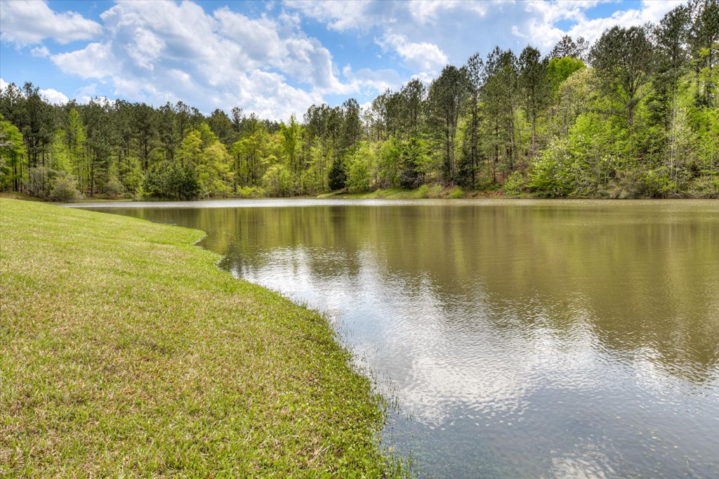 608 Old Stage Road Edgefield, SC 29824 - Photo 72 of 74