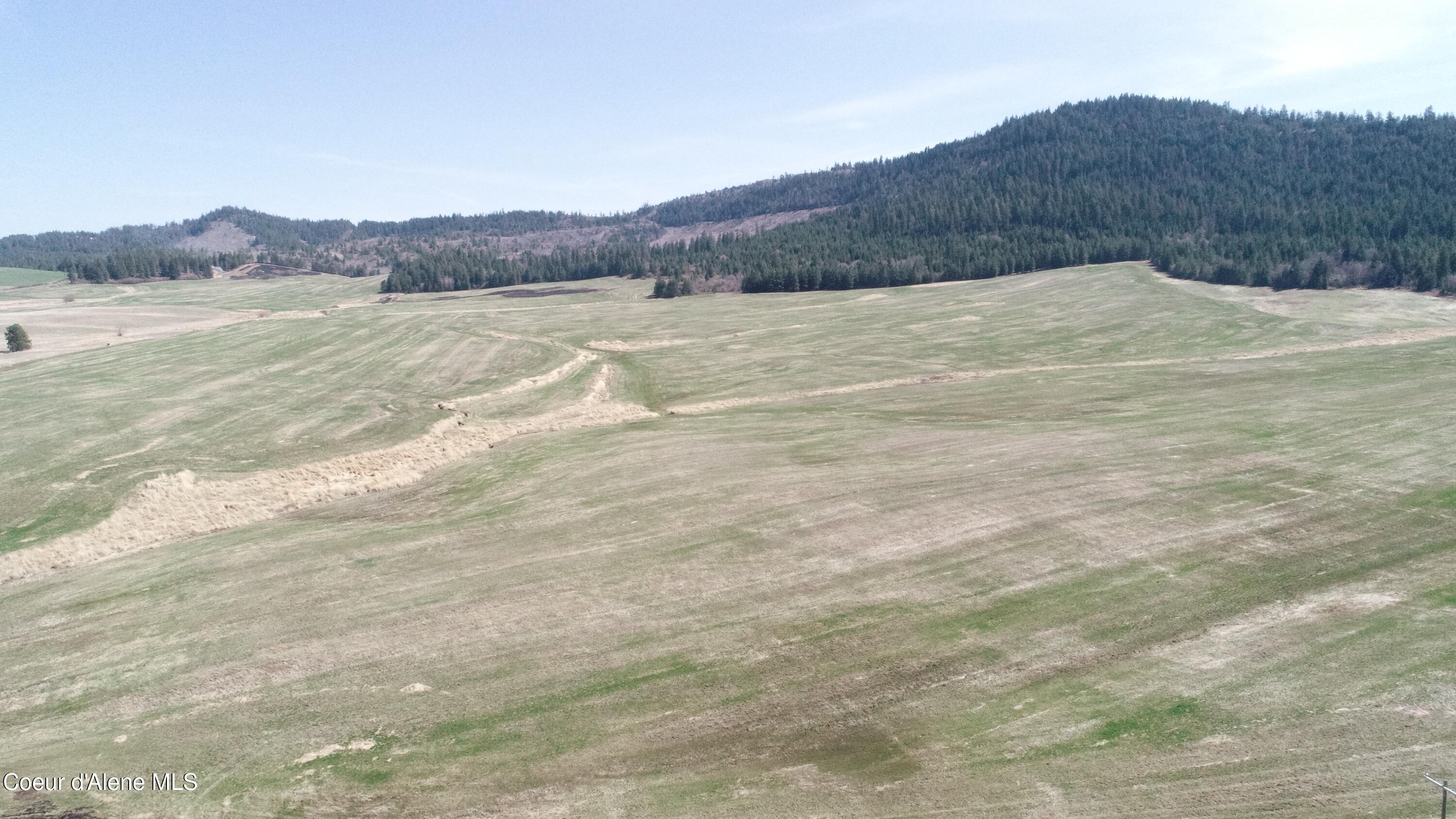 Lot 6 Pebblestone Drive Plummer, ID 83851 - Photo 7 of 7 DJI_0043