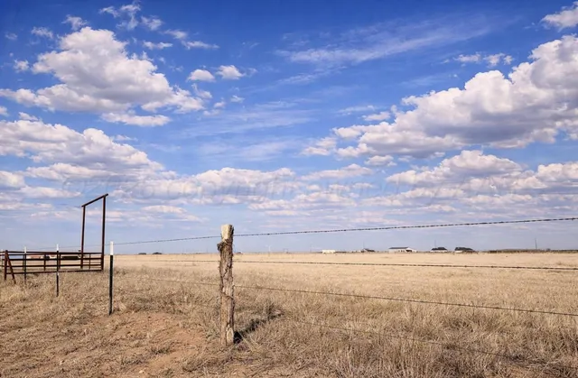 a view of a sky from a yard