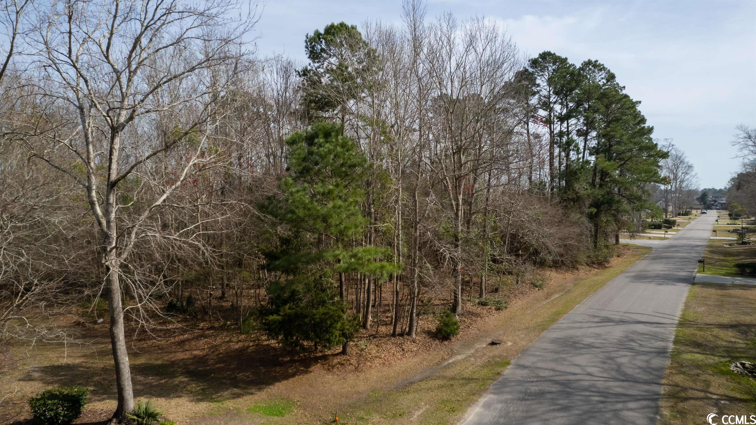 West Pelican Road Longs, SC 29568 - Photo 1 of 16 Gallery Image 1