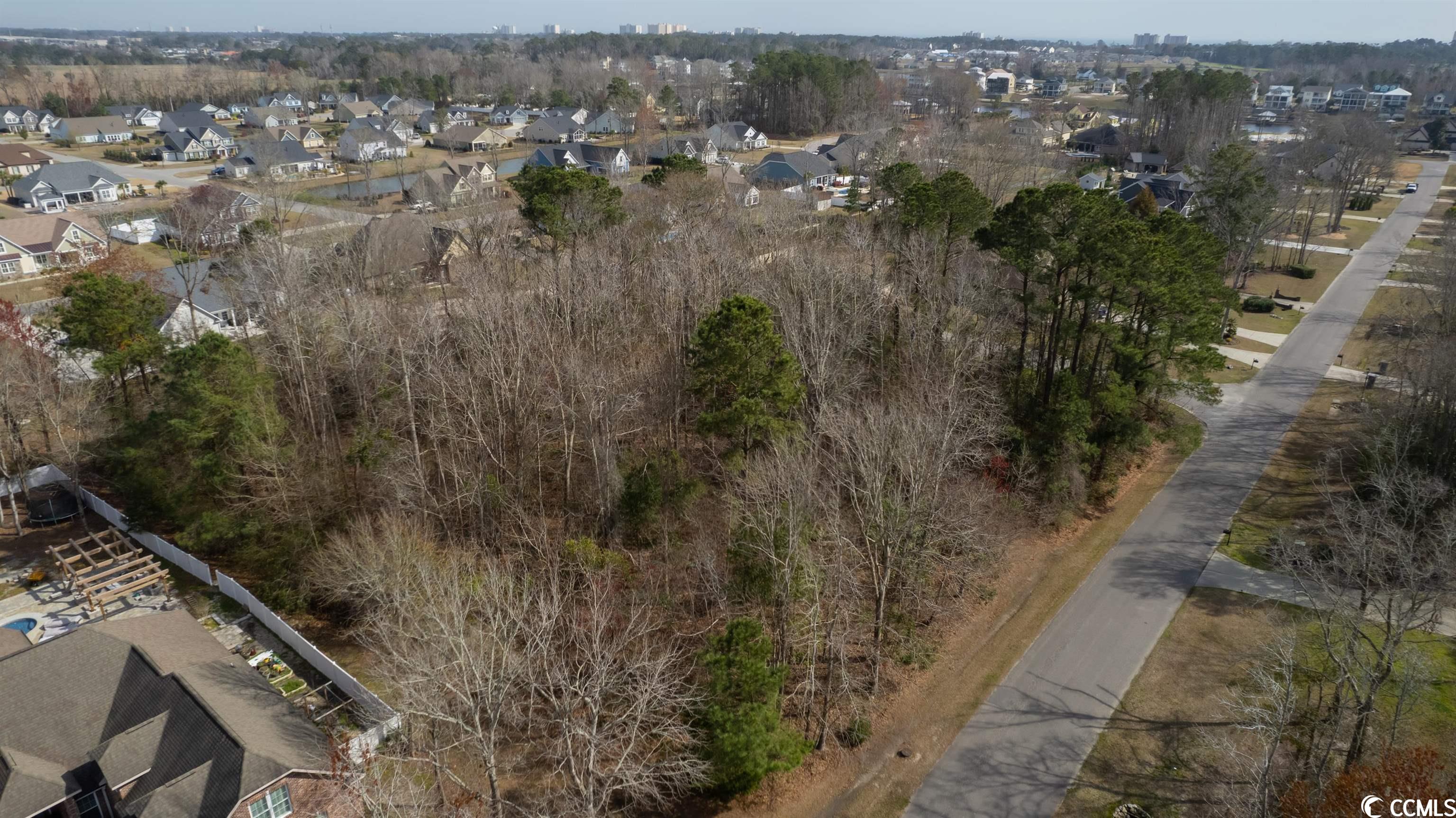 West Pelican Road Longs, SC 29568 - Photo 3 of 16 Gallery Image 3