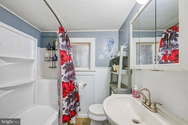 a view of a garden with an outdoor space