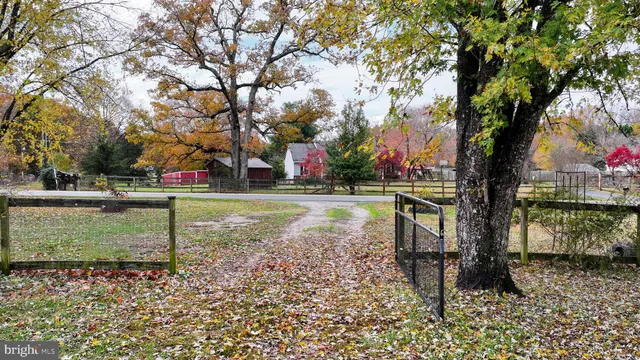 a view of a dry yard with wooden fence