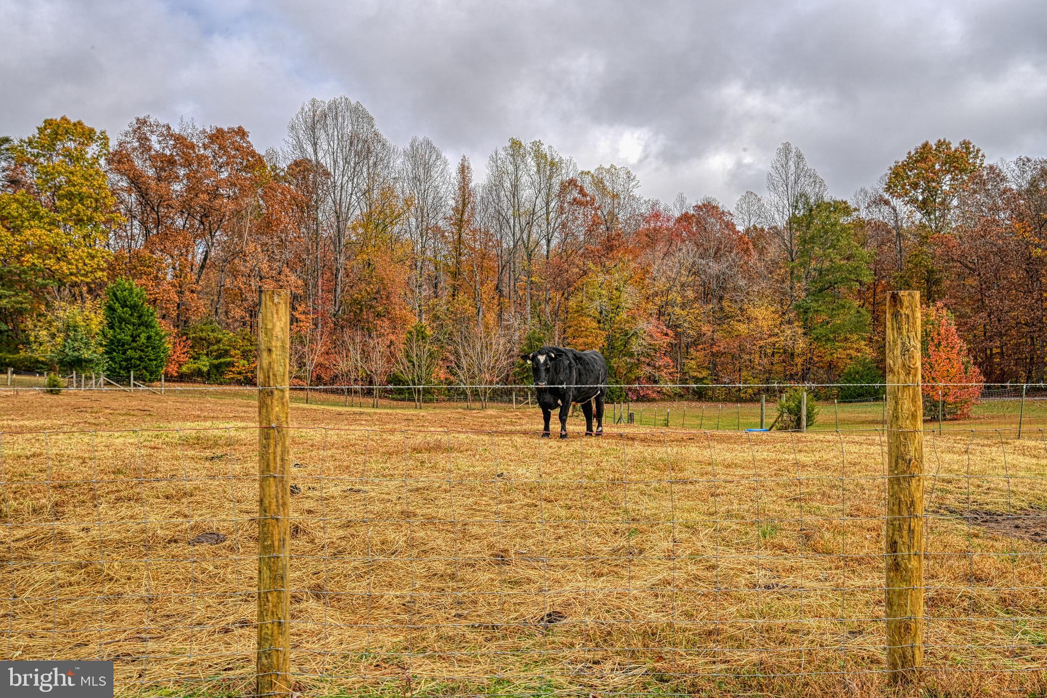 464 Belsches Road Bumpass, VA 23024 - Photo 26 of 26 Gallery Image 26