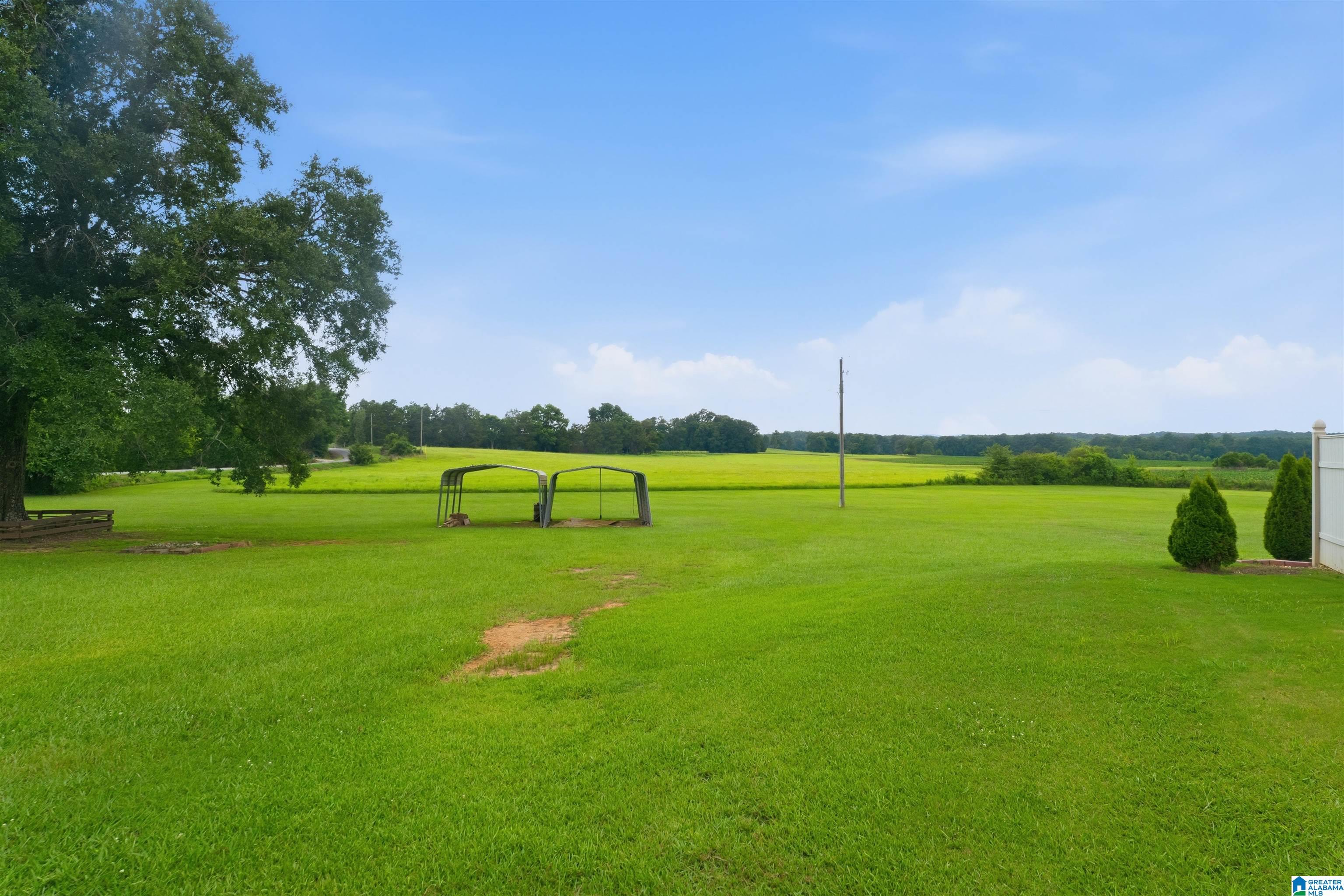 4495 Odena Road Road Alpine, AL 35014 - Photo 54 of 66