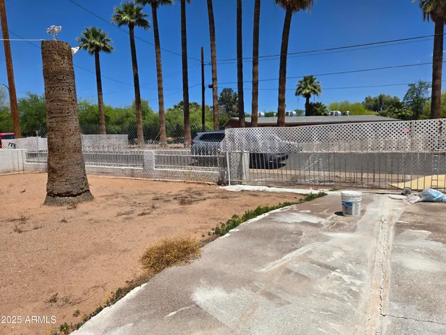 a view of a terrace with a palm tree