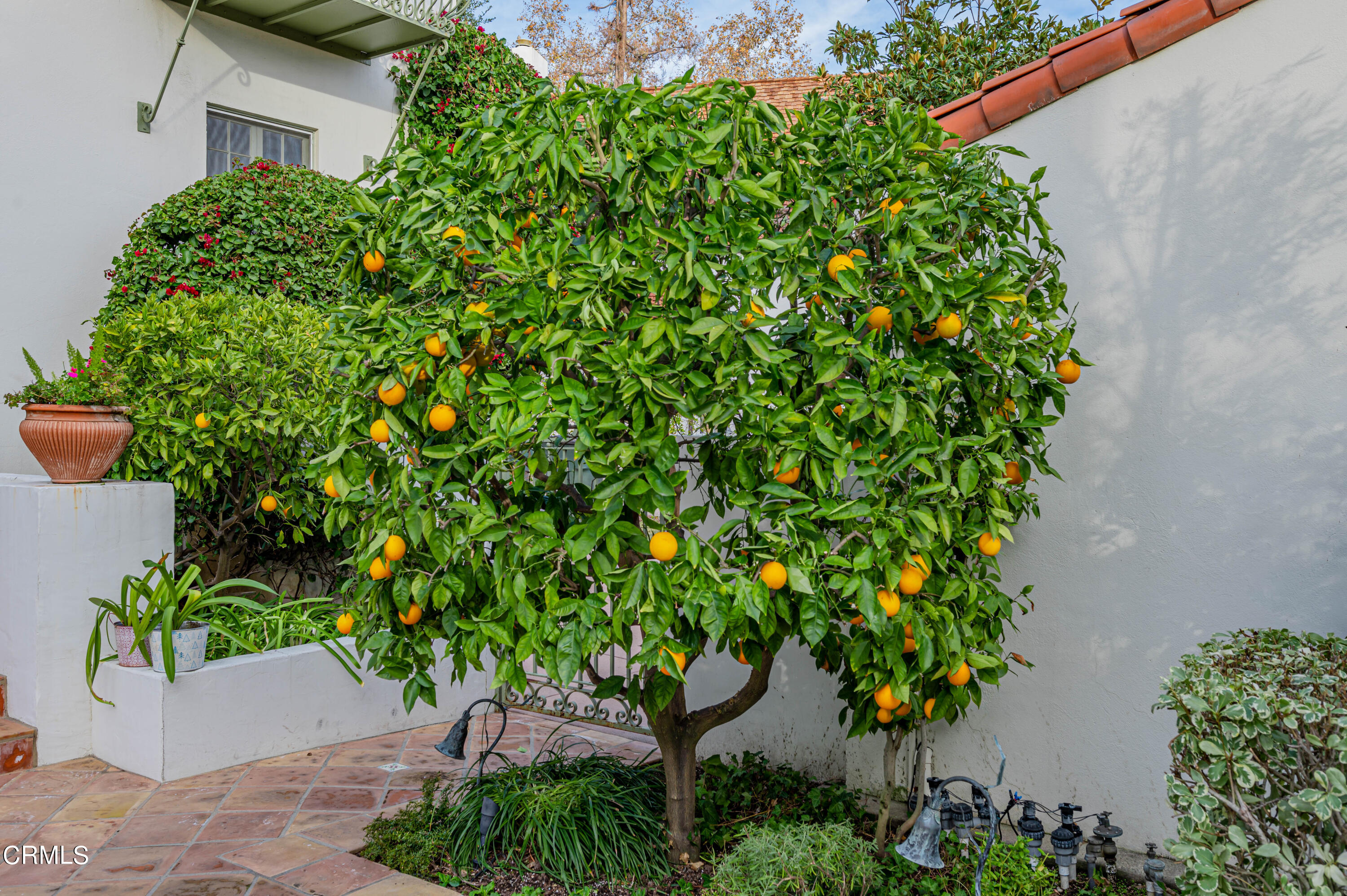 818 Old Mill Road Pasadena, CA 91108 - Photo 53 of 71 DSC_1133