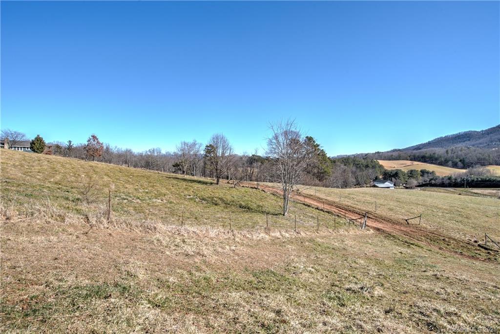 518 Old Newfound Road Leicester, NC 28748 - Photo 6 of 11 a view of a dry yard with trees