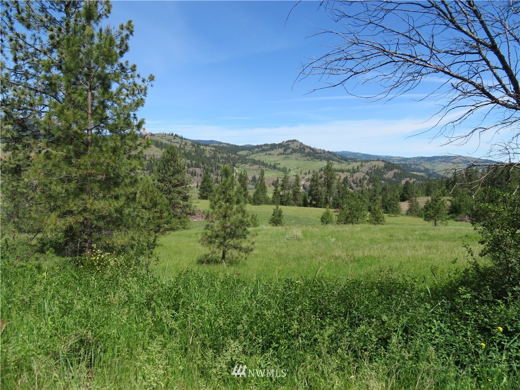 1 Boulder Creek Road Curlew, WA 99118 - Photo 1 of 18 Gallery Image 1