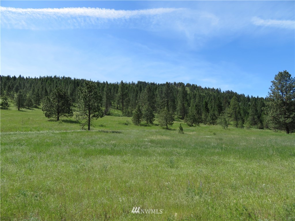 1 Boulder Creek Road Curlew, WA 99118 - Photo 2 of 18 Gallery Image 2