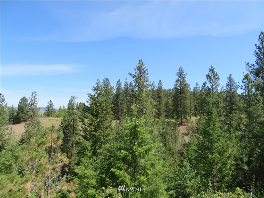 1 Boulder Creek Road Curlew, WA 99118 - Photo 11 of 18 Gallery Image 11