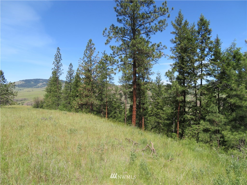 1 Boulder Creek Road Curlew, WA 99118 - Photo 12 of 18 Gallery Image 12