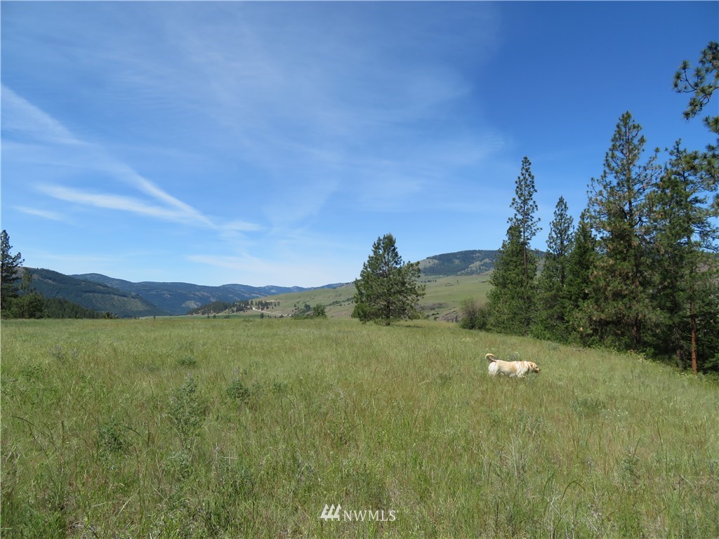 1 Boulder Creek Road Curlew, WA 99118 - Photo 13 of 18 Gallery Image 13