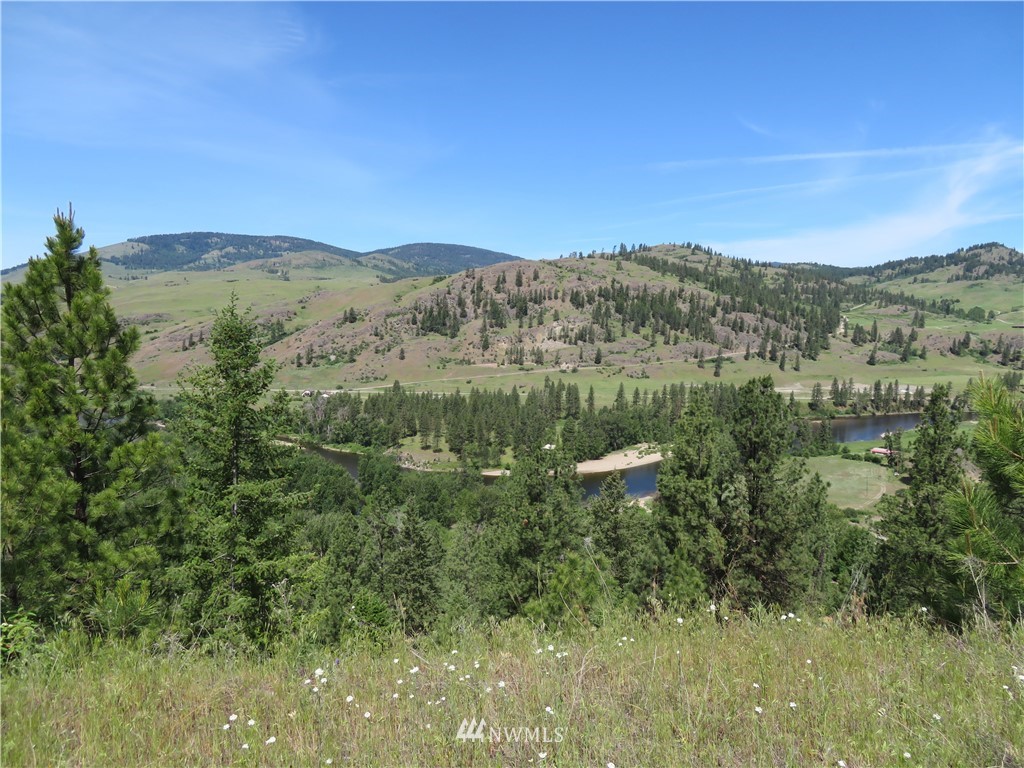 1 Boulder Creek Road Curlew, WA 99118 - Photo 14 of 18 Gallery Image 14