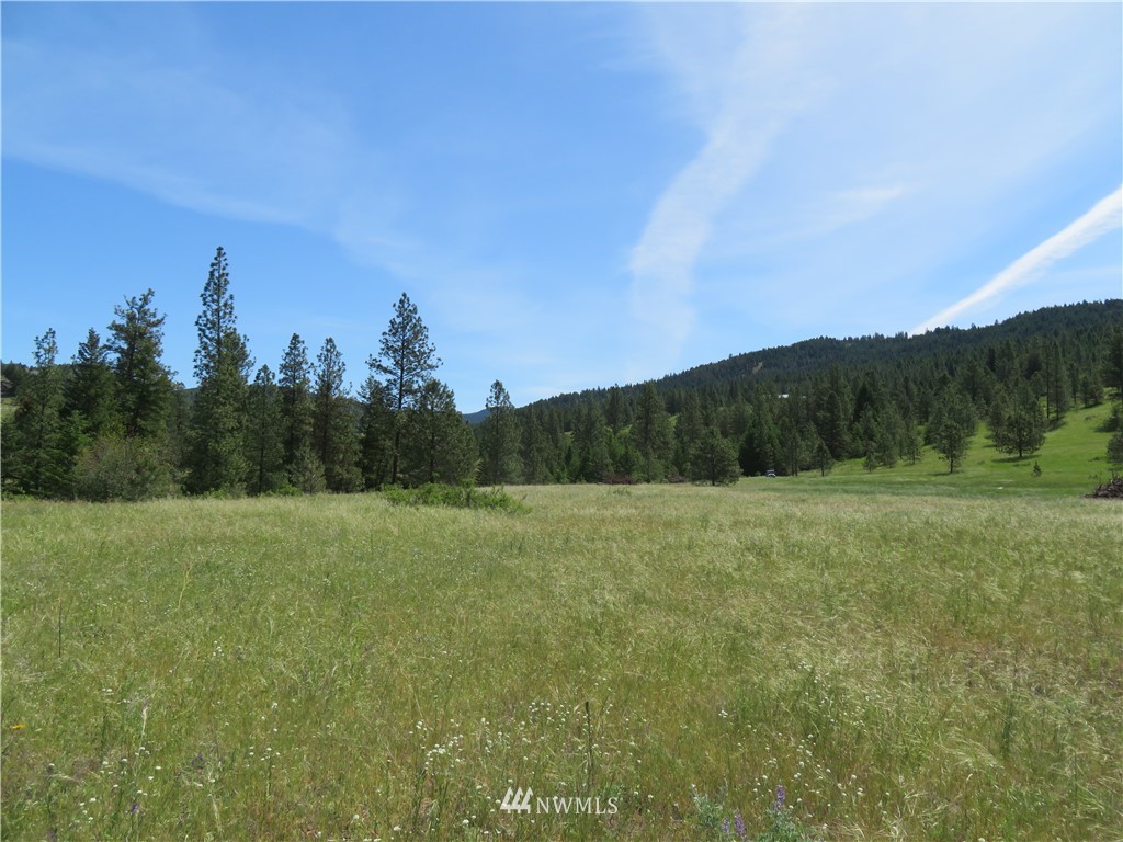 1 Boulder Creek Road Curlew, WA 99118 - Photo 15 of 18 Gallery Image 15