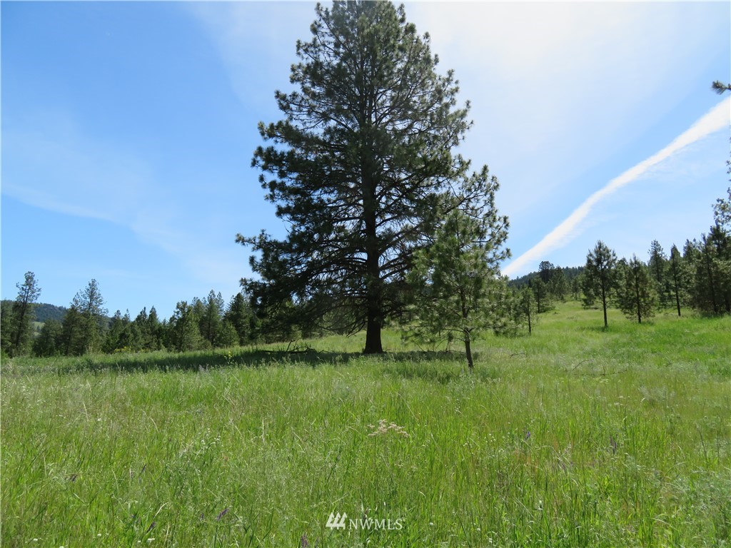 1 Boulder Creek Road Curlew, WA 99118 - Photo 17 of 18 Gallery Image 17