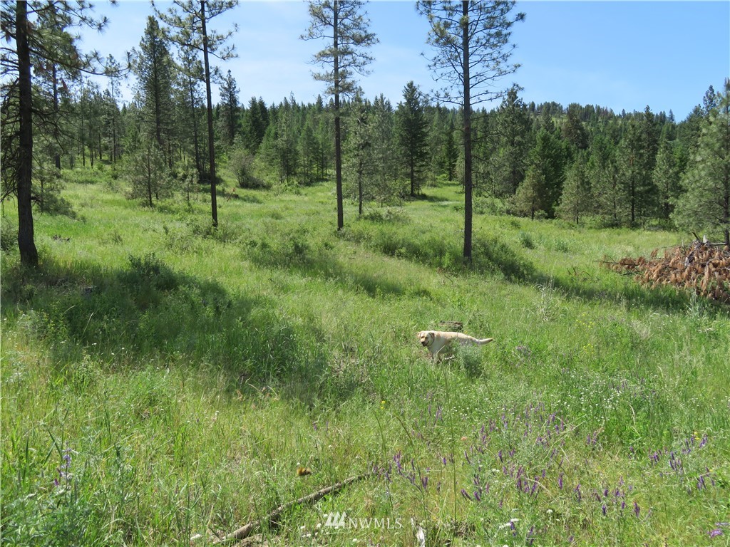 1 Boulder Creek Road Curlew, WA 99118 - Photo 18 of 18 Gallery Image 18