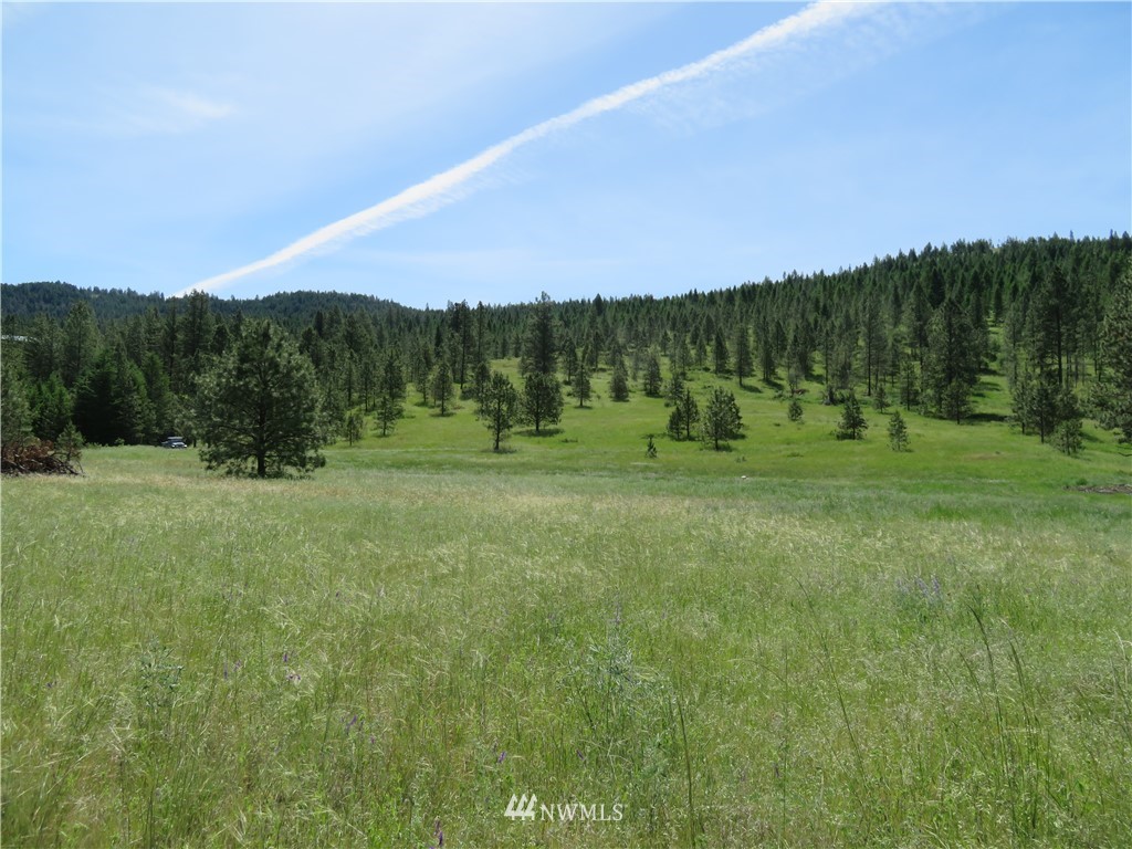 1 Boulder Creek Road Curlew, WA 99118 - Photo 3 of 18 Gallery Image 3
