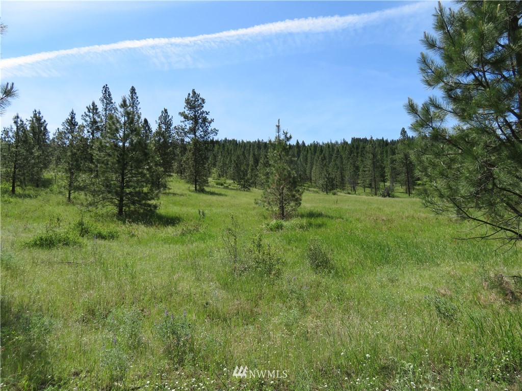 1 Boulder Creek Road Curlew, WA 99118 - Photo 7 of 18 Gallery Image 7