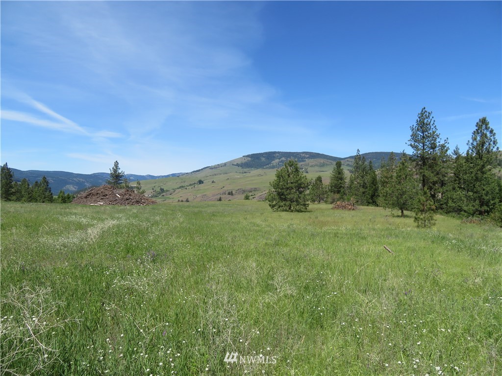 1 Boulder Creek Road Curlew, WA 99118 - Photo 8 of 18 Gallery Image 8