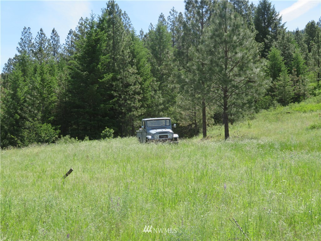 1 Boulder Creek Road Curlew, WA 99118 - Photo 9 of 18 Gallery Image 9