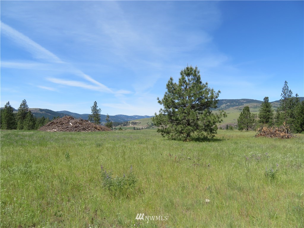 1 Boulder Creek Road Curlew, WA 99118 - Photo 10 of 18 Gallery Image 10