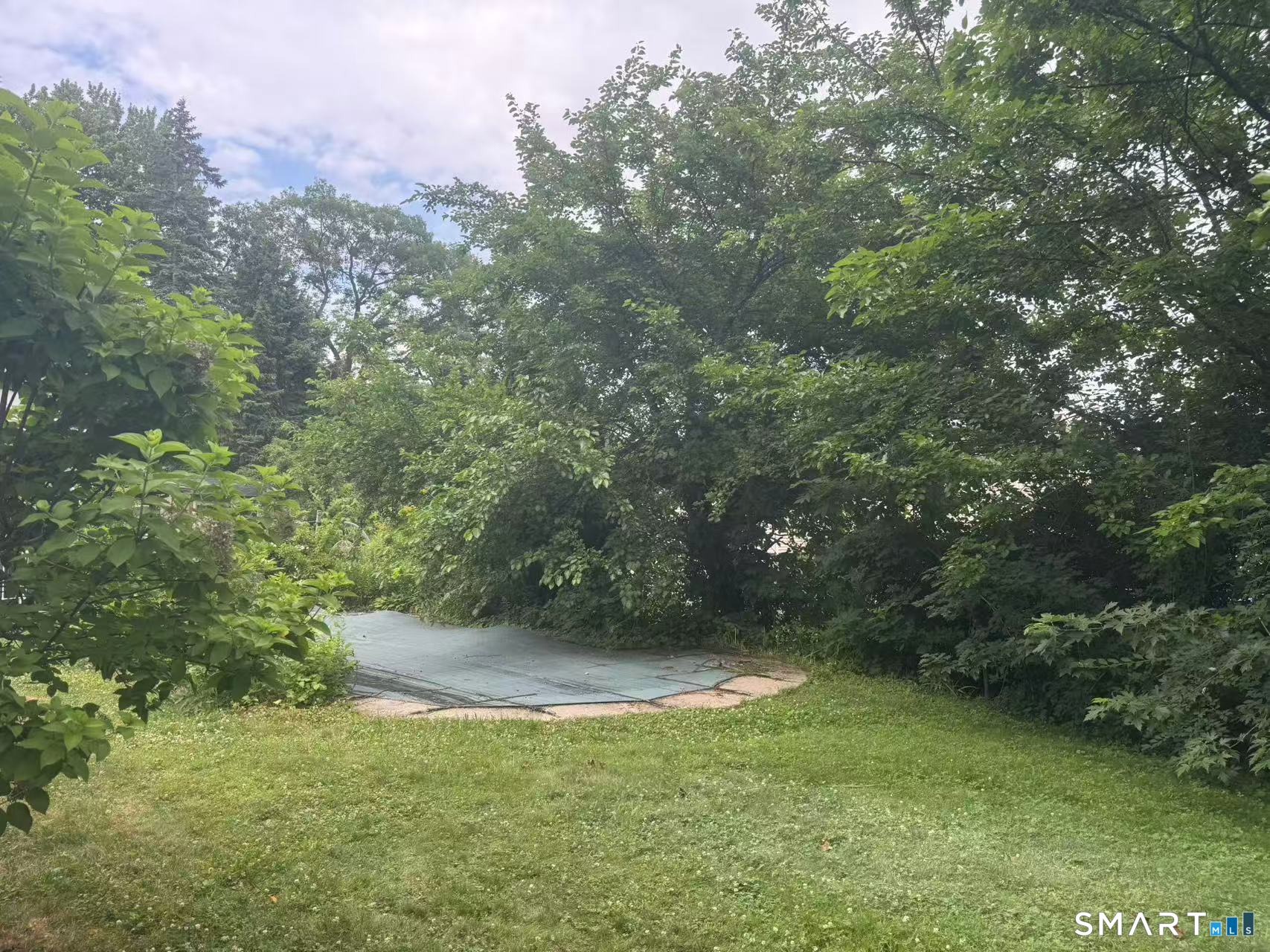 1122 Fienemann Road Farmington, CT 06032 - Photo 22 of 26 a view of a trees