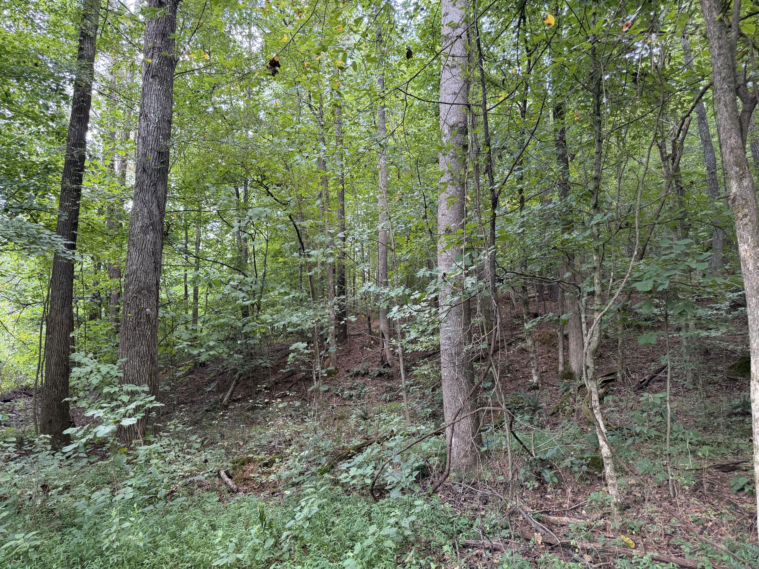 6861 Rockcastle Road Cadiz, KY 42211 - Photo 73 of 75 3