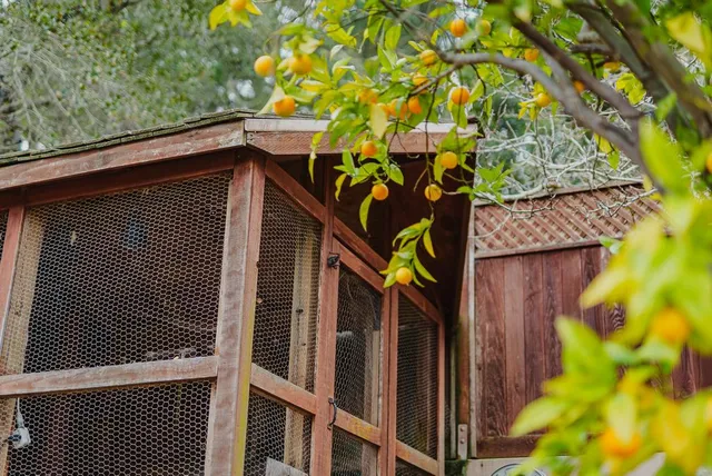 $1,399,000 | 500 Calle Del Sol, Aptos, CA 95003