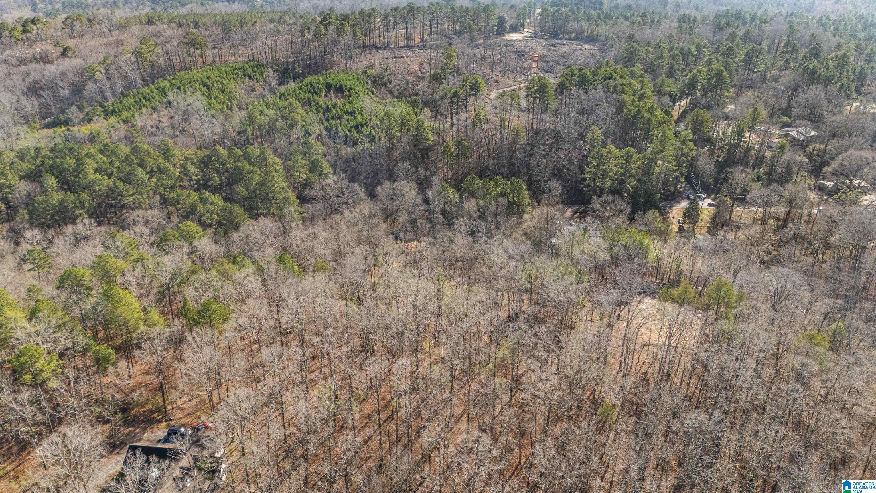 7019 Groundhog Road, Unit 1 Morris, AL 35116 - Photo 4 of 22