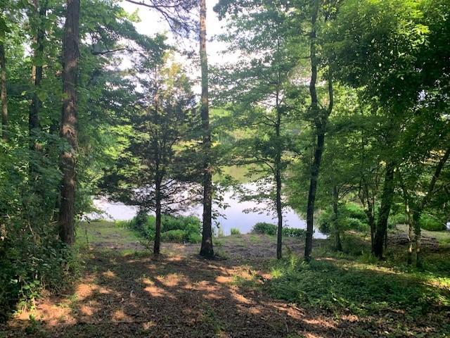 0 West Lake Road, Unit 1 Ringgold, GA 30736 - Photo 2 of 8 Lot 1 West Lake pond 2