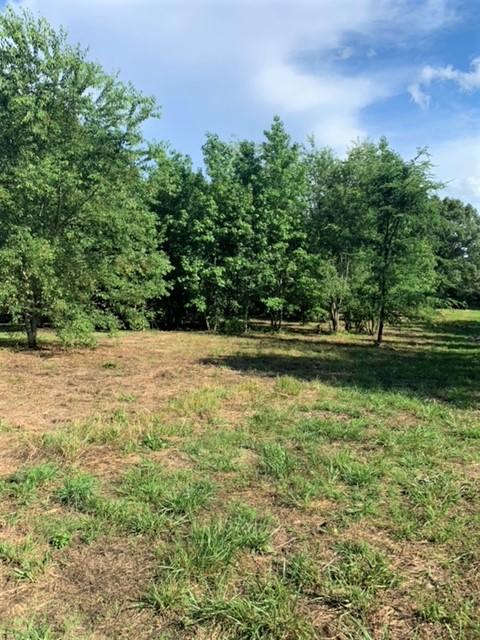 0 West Lake Road, Unit 1 Ringgold, GA 30736 - Photo 4 of 8 Lot 1 West Lake 1