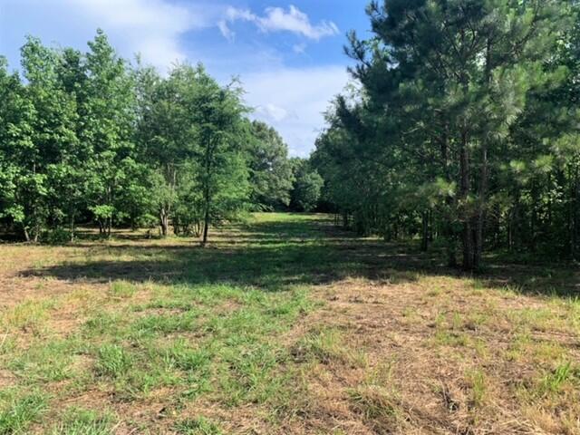 0 West Lake Road, Unit 1 Ringgold, GA 30736 - Photo 6 of 8 Lot 1 WEst Lake 3
