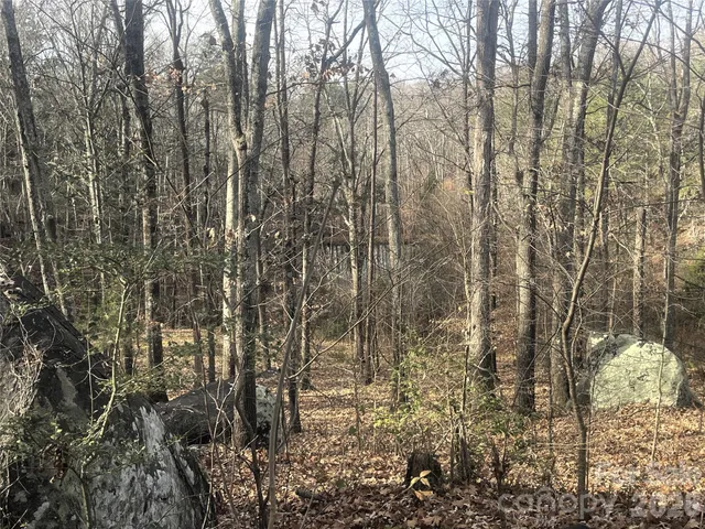 a view of outdoor space with trees