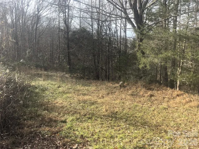 a view of house with trees