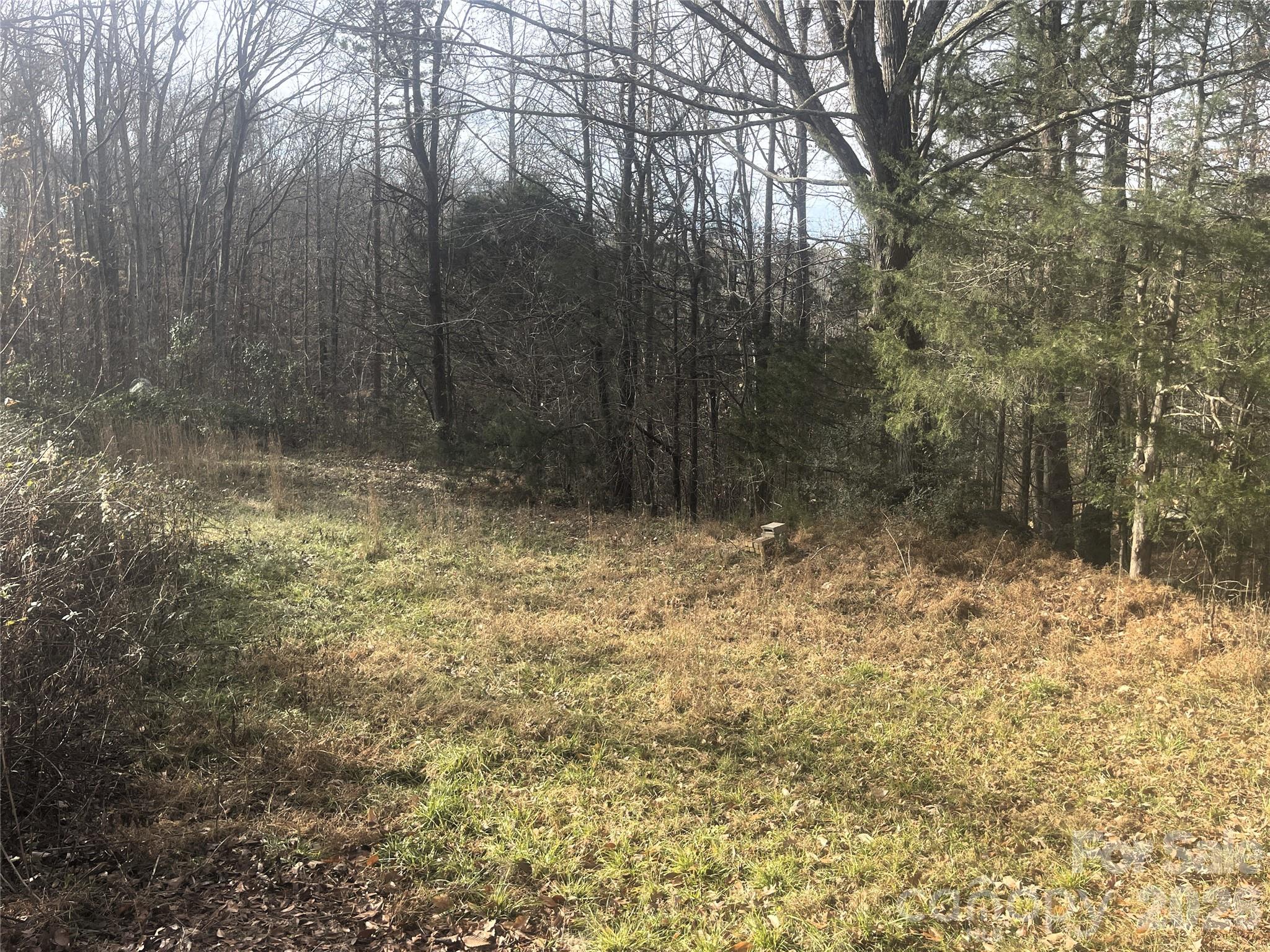 11443 Mooresville Road Davidson, NC 28036 - Photo 12 of 47 a view of backyard with green space