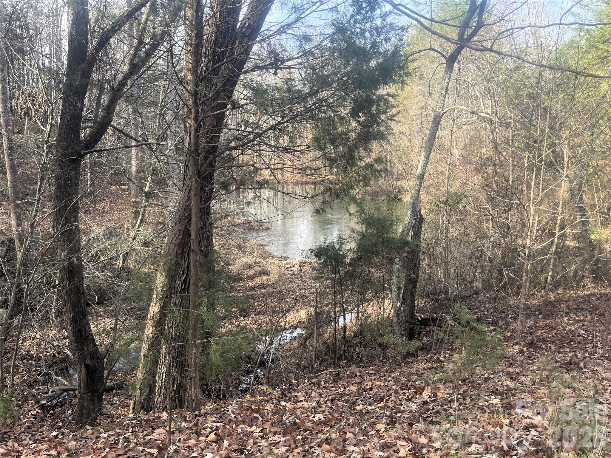 11443 Mooresville Road Davidson, NC 28036 - Photo 13 of 47 a backyard of a house with lots of green space