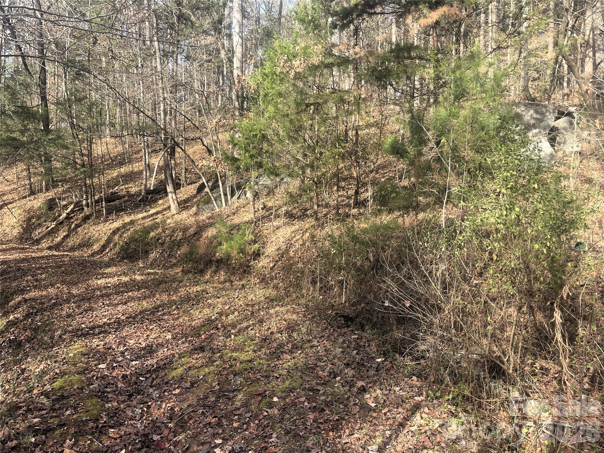 11443 Mooresville Road Davidson, NC 28036 - Photo 14 of 47 a view of a yard