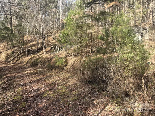 a view of a backyard of a house