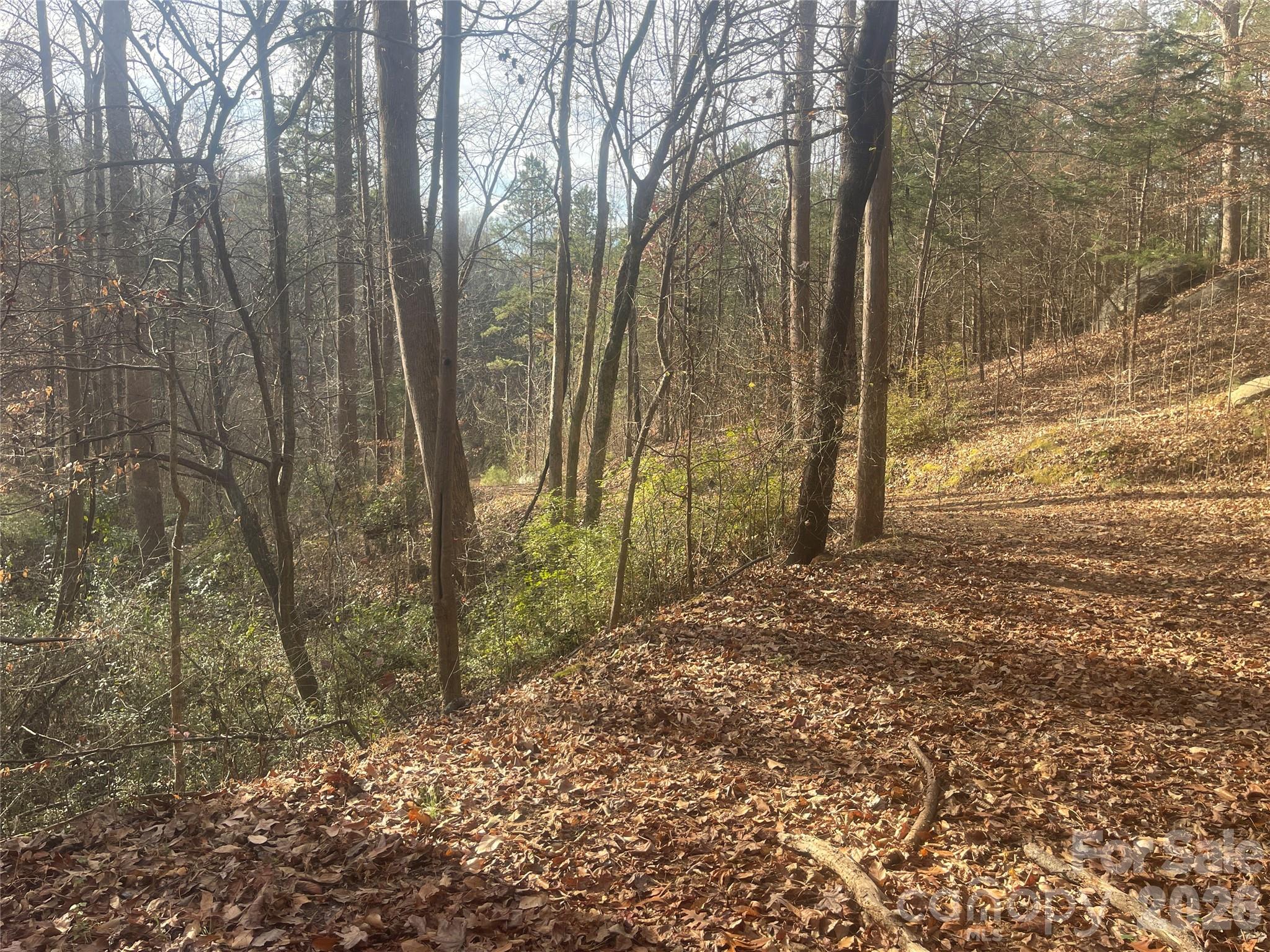 11443 Mooresville Road Davidson, NC 28036 - Photo 15 of 47 a backyard of a house with lots of green space