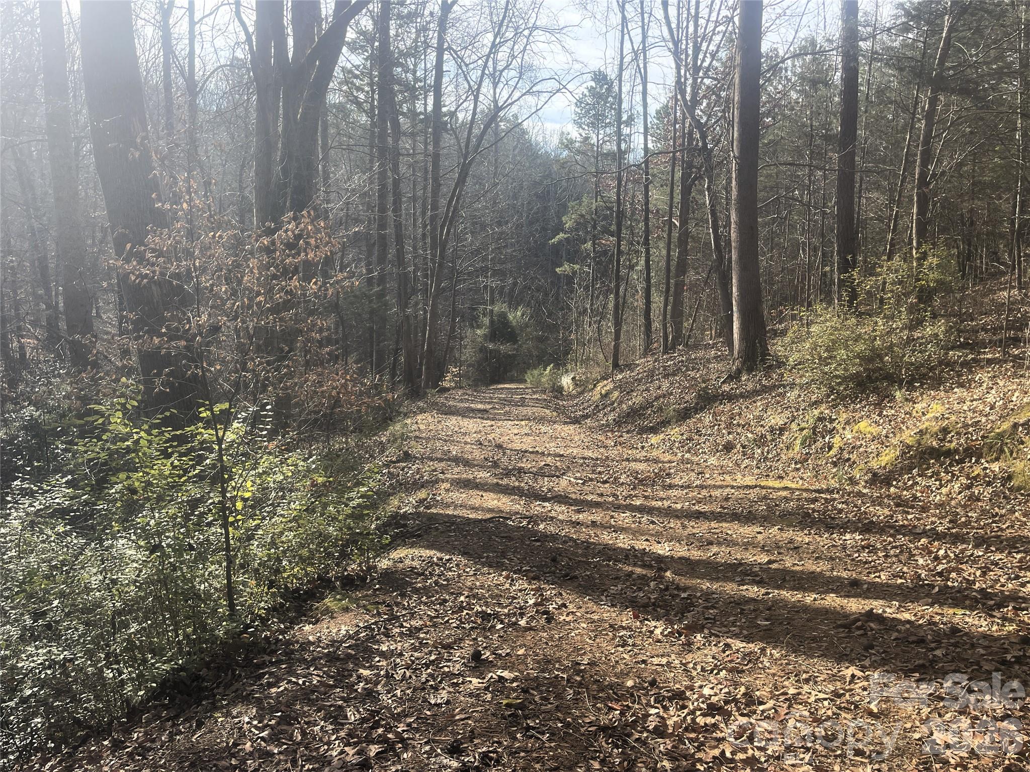 11443 Mooresville Road Davidson, NC 28036 - Photo 16 of 47 a view of a backyard of a house