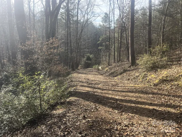 a view of a yard with large trees