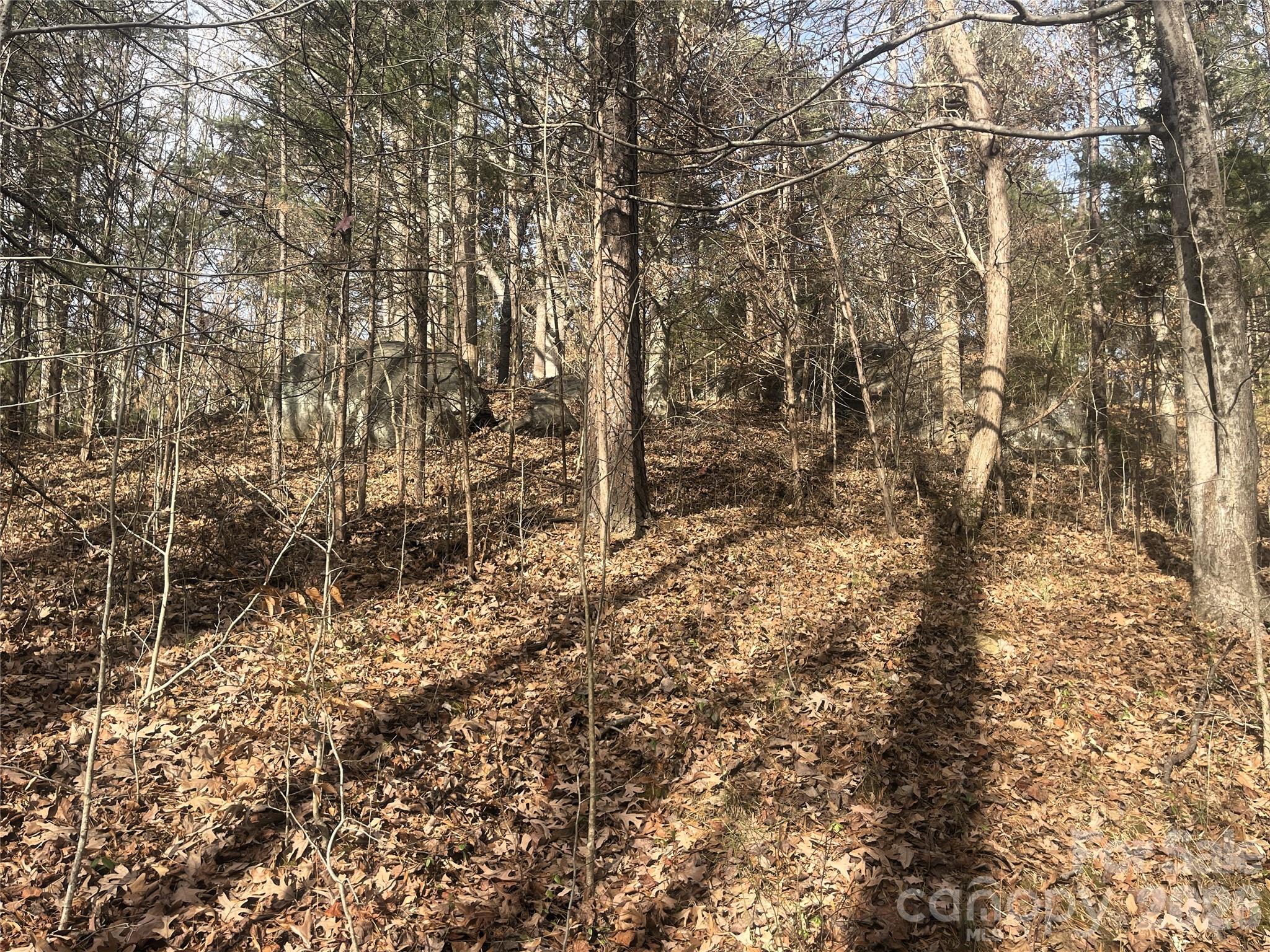 11443 Mooresville Road Davidson, NC 28036 - Photo 17 of 47 a view of a yard with large trees