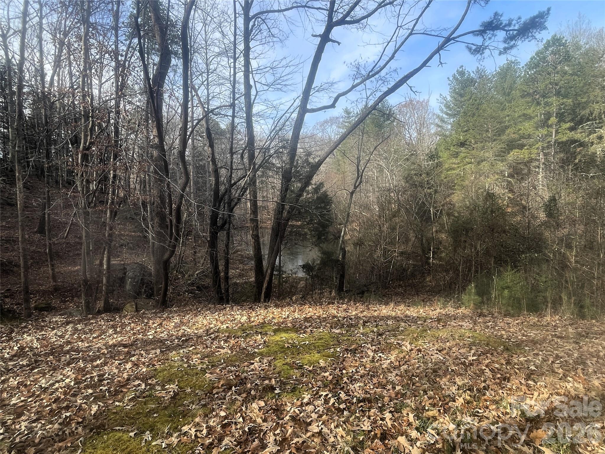 11443 Mooresville Road Davidson, NC 28036 - Photo 21 of 47 a view of house with trees