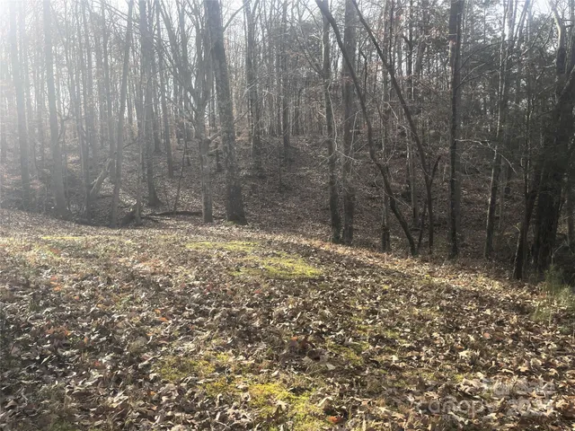 a view of outdoor space with trees