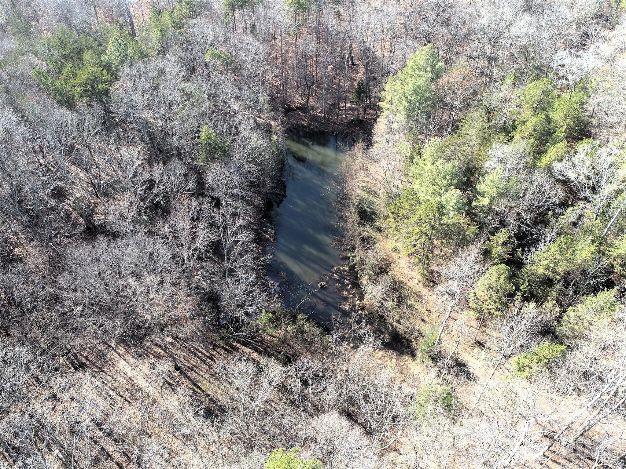 11443 Mooresville Road Davidson, NC 28036 - Photo 24 of 47 a view of a yard