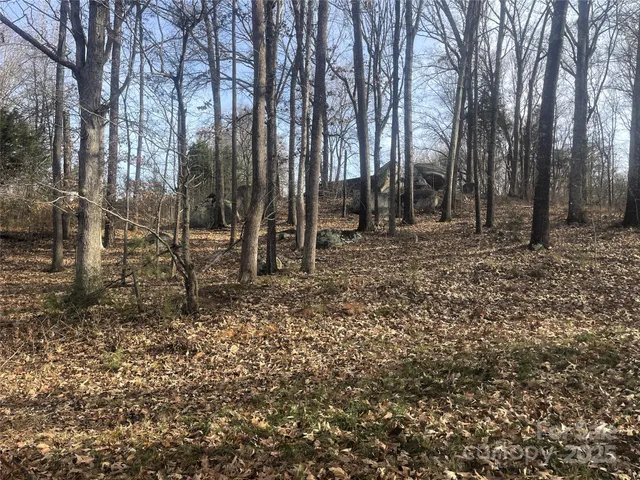 a view of house with trees