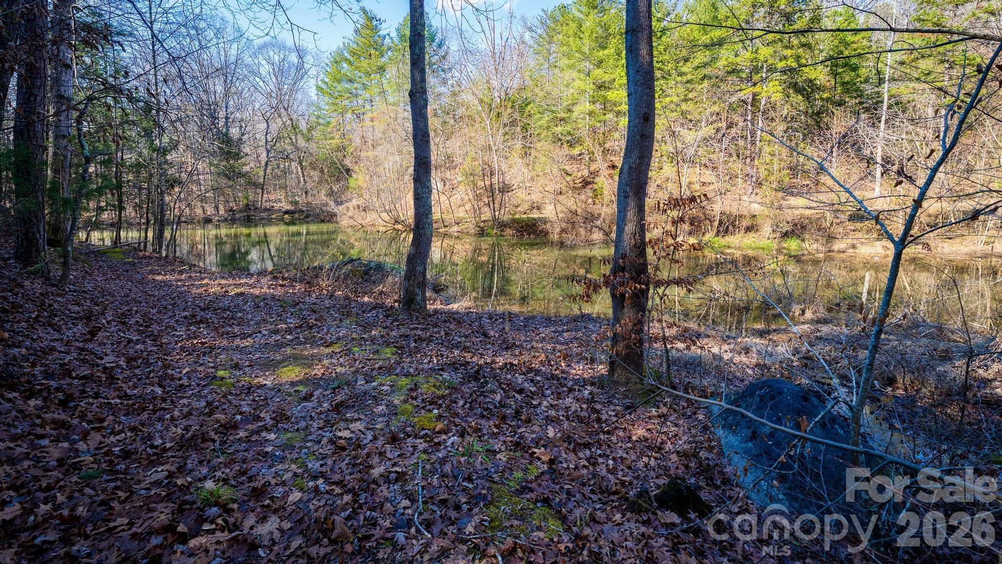 11443 Mooresville Road Davidson, NC 28036 - Photo 25 of 47 a view of a yard with plants