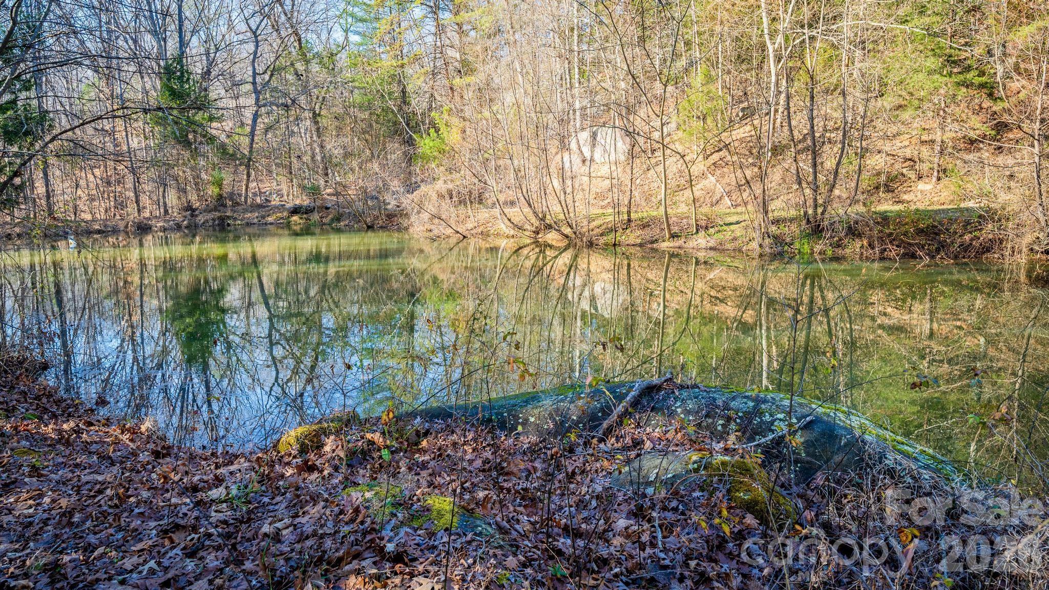 11443 Mooresville Road Davidson, NC 28036 - Photo 3 of 47 a view of lake with green space